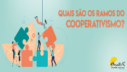 Quais são os ramos do cooperativismo